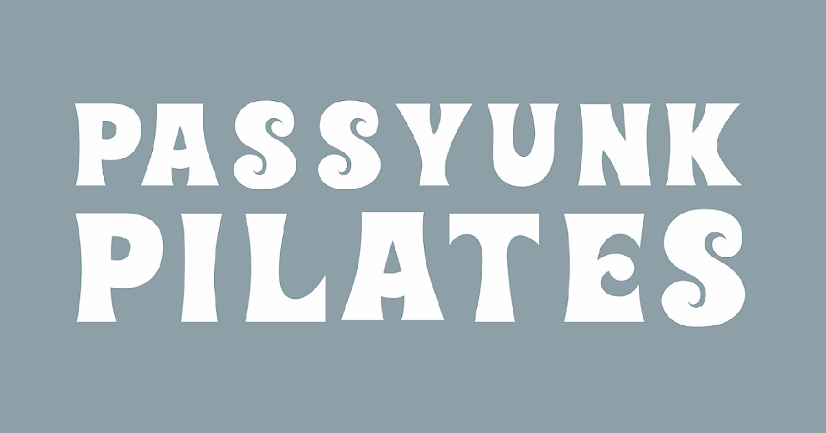 Passyunk Pilates — Hybrid gym in Philadelphia, PA